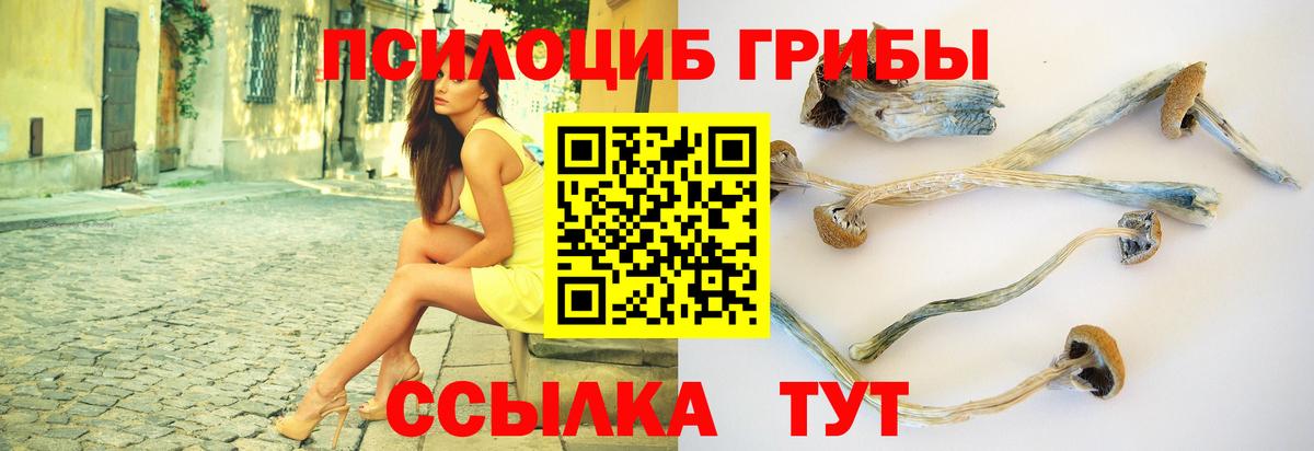 Псилоцибиновые грибы Cubensis  Вход с VPN  Псилоцибиновые грибы ЛСД  Верхняя Пышма 